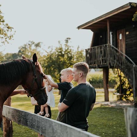 Готель Treehouse Drevesna Hiska Strkovo Gnezdo Ranc Jures Лютомер Екстер'єр фото