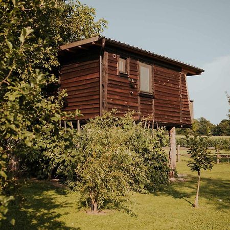 Готель Treehouse Drevesna Hiska Strkovo Gnezdo Ranc Jures Лютомер Екстер'єр фото