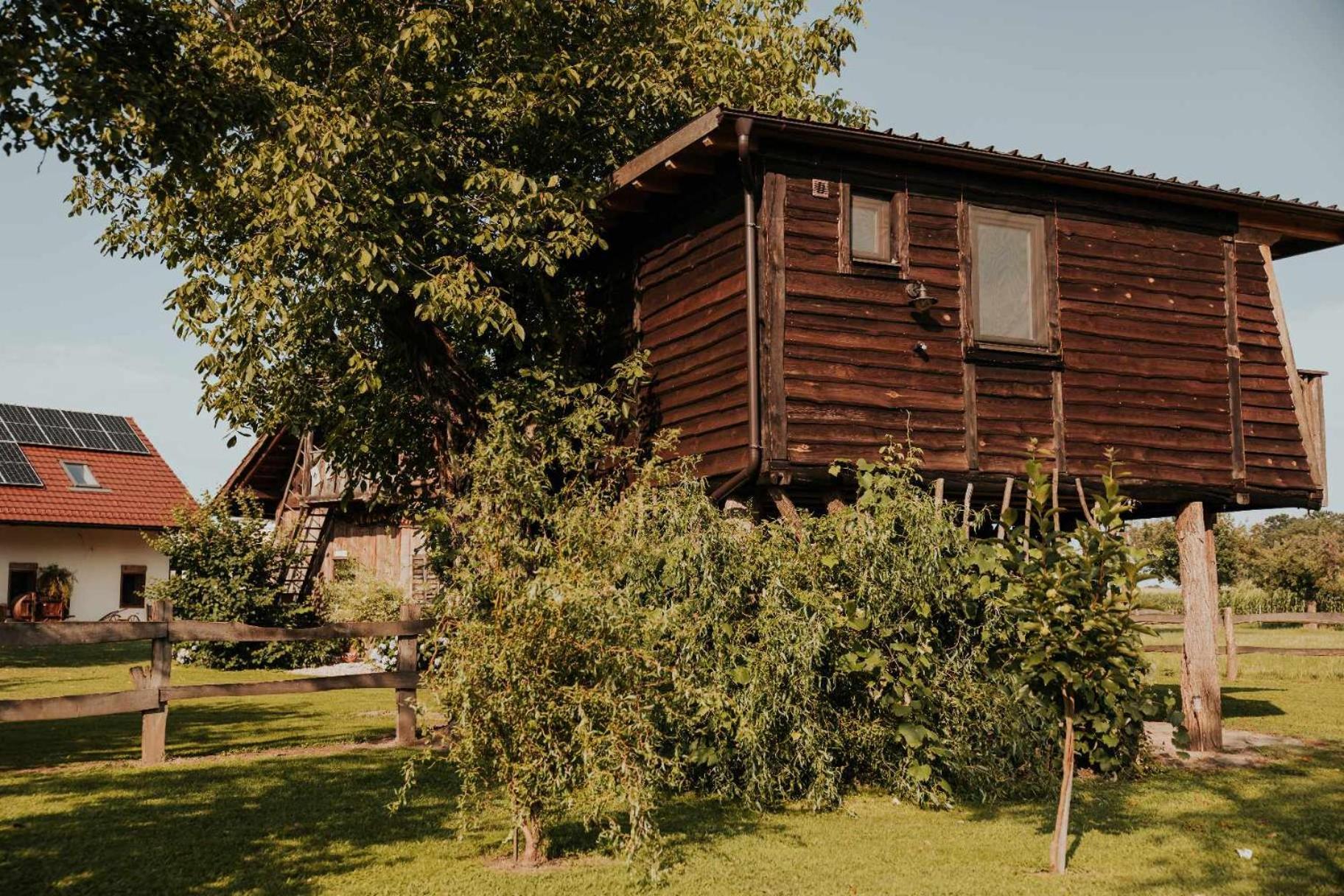 Готель Treehouse Drevesna Hiska Strkovo Gnezdo Ranc Jures Лютомер Екстер'єр фото