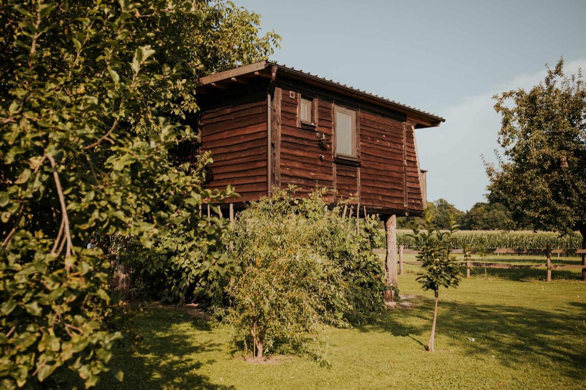 Готель Treehouse Drevesna Hiska Strkovo Gnezdo Ranc Jures Лютомер Екстер'єр фото