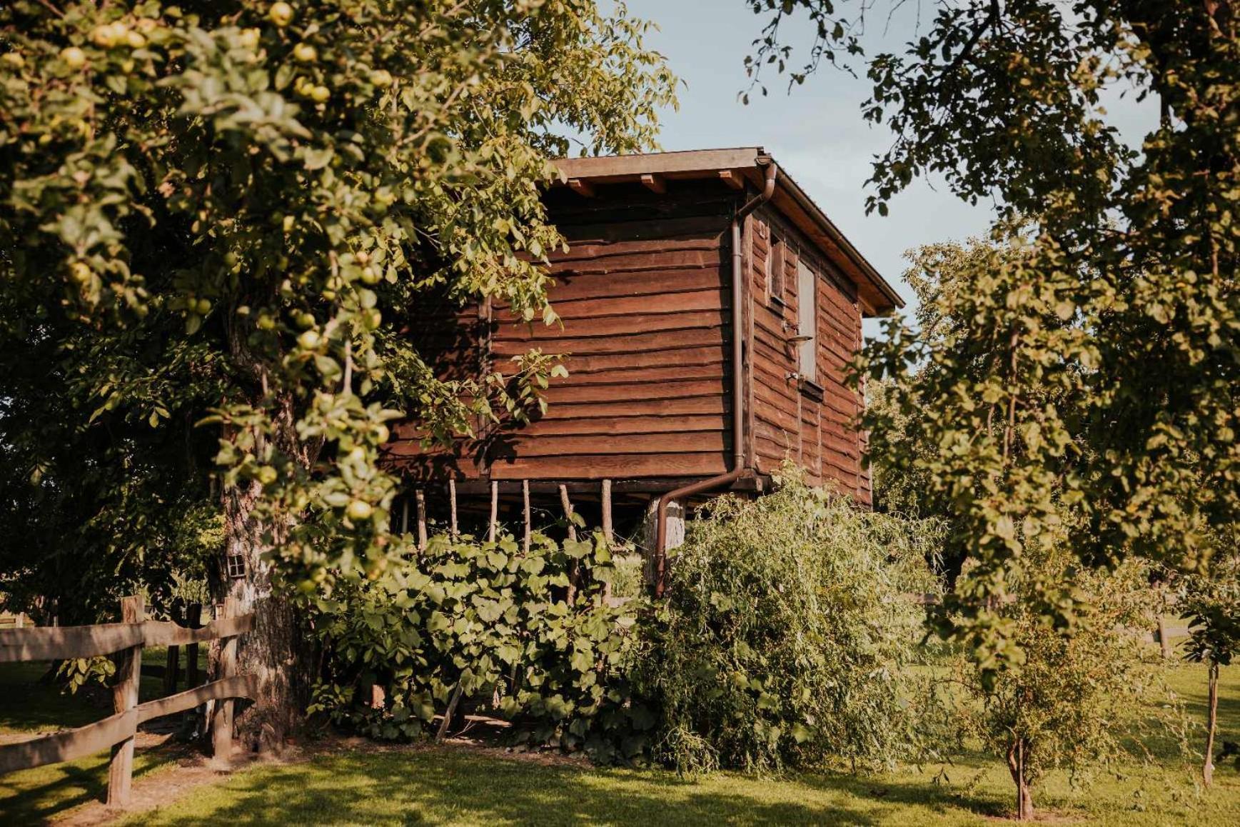 Готель Treehouse Drevesna Hiska Strkovo Gnezdo Ranc Jures Лютомер Екстер'єр фото